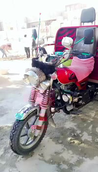 ستوته • موديل ٢٣ • أوراق باسم