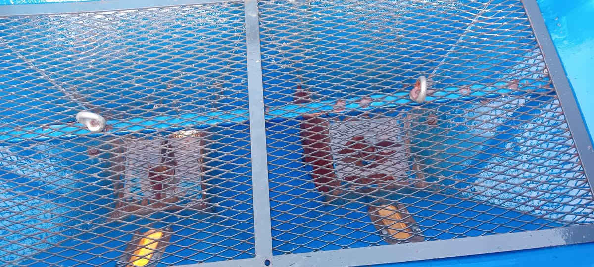 ناثره للبيع نضيفه اتصل***********
