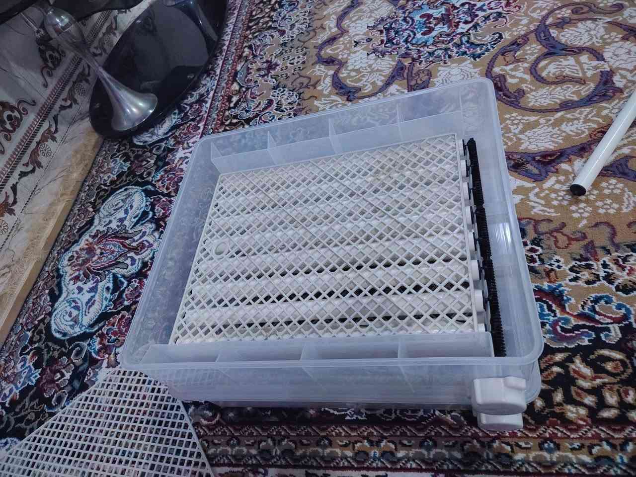 على بركة الله متاح فقاسة اصليه تسع 200 بيضه السعر 225 ألف وبيه مجال
شرط الفحص والشغل رقم *********** 
مكاني بني منصور اكو توصيل
