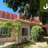 صبغ • درجة أولى • جوه السوك