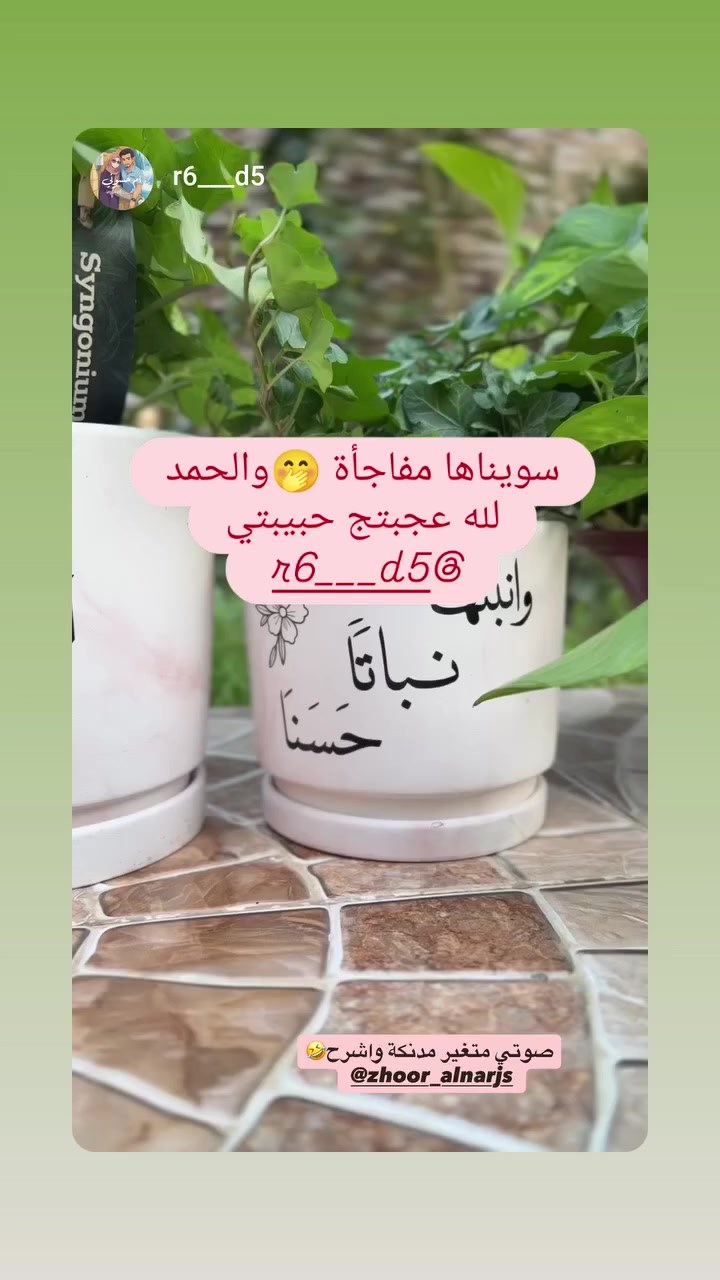 متوفرة السنادين والطباعة 
اية قرانية او اسم او اي عبارة تعجبكم 
 #مشتل_زهور_النرجس


**إذا كنت صاحب هذا الإعلان وتريد حذفه لأي سبب، رجاءا أرسل رسالة إلى الدعم الفني**