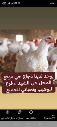 بالكيلو • حي الشهداء