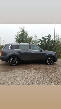 تيلورايد • ٢٠٢٤ • حادث دعاميه