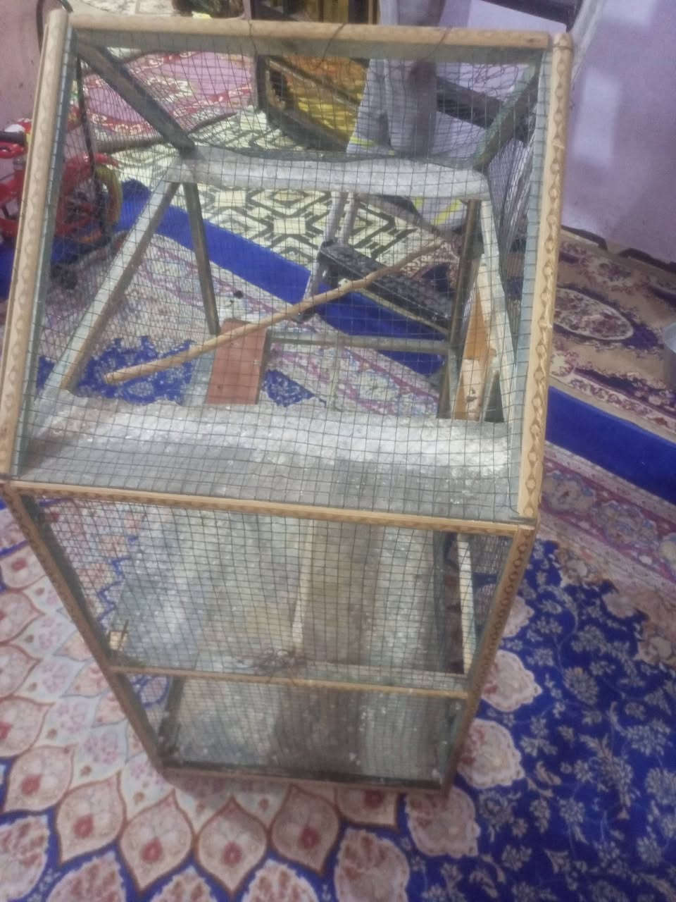 قفص البيع سعر 35 مكان بصره حيانيه ***********

