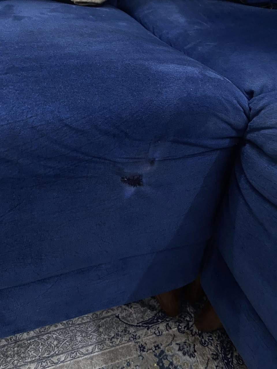 ديوان ١٠ مقاعد نظيف مابي اي ضرر بس عيب واحد ومنزله صورتة وهو ممبين اصلا 
مكاني بغداد الغزالية


**إذا كنت صاحب هذا الإعلان وتريد حذفه لأي سبب، رجاءا أرسل رسالة إلى الدعم الفني**