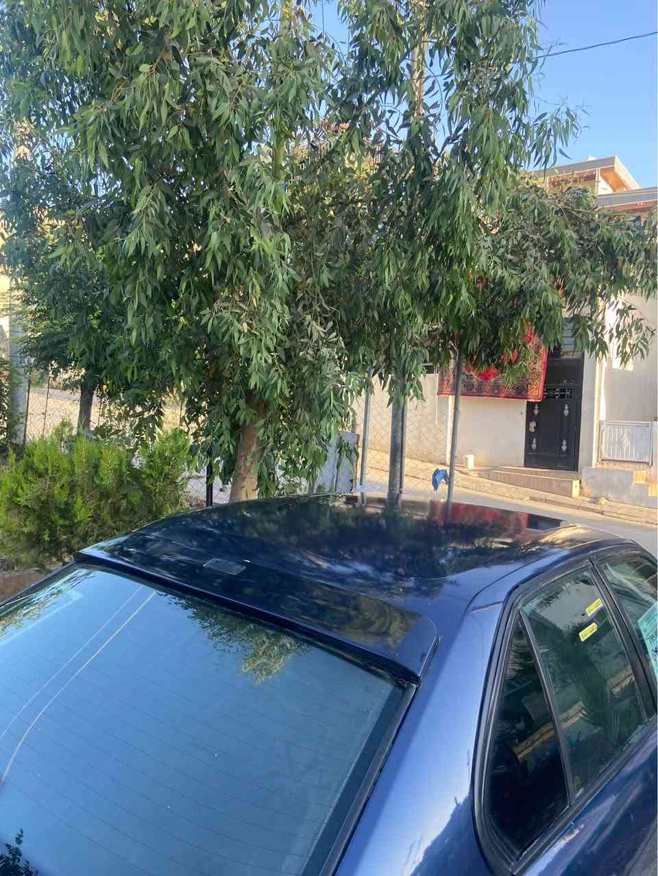 بیئێم مۆدێل ١٩٩٢ مەکینە ٥٣٠ فەل گێڕ و مەکینەی تازە تەشفیت کراوە قوەتی یەک ٤٤ هەیە بەس مەشەڵای ئەوێت بە شەرتی گێڕ و مەکینە سلاید و ٤ جام کارەباو کوشن هیتەر و ABS ئاڕمی سلێمانیە بەس ئاڕمەکەی ون بوەو کتابی بۆ کراوە ساحێبی دیارە بەس من هەر ئاوا ئەیفرۆشم  سعریشی داوای ٣٤ معامەلەیەکی برایانە ڕەقەم تەلەفون و واتساب *********** السليمانية, العراق
