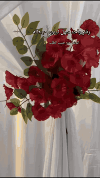 كوشات ركن الخيال ✨ للمناسبات..
للحجز واتساب ***********
📌برطله
