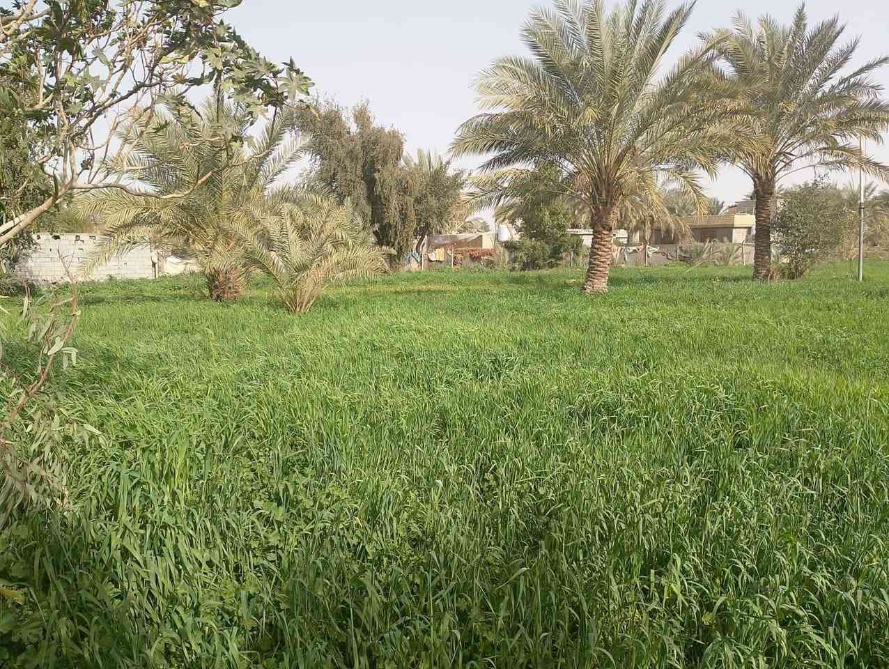 السلام عليكم
2 دونم للبيع جبله البستنه قرب اسالة الماء 
يتوفر ماء سقيي/ماء اساله/مولد حي كافة الخدمات
صالحه للزراعه والسكن
صنف الارض اتصلاح زراعي
للاستفسار الاتصال على الارقام التاليه
***********
‏‪***********‬‏
