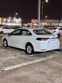 كورلا • ٢٠٢٥ • الزبير