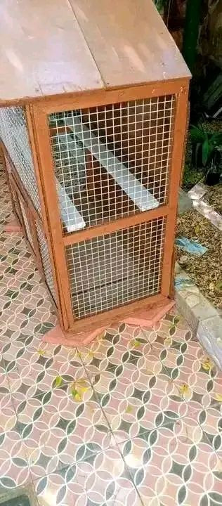 التفاااصيل خااص


**إذا كنت صاحب هذا الإعلان وتريد حذفه لأي سبب، رجاءا أرسل رسالة إلى الدعم الفني**