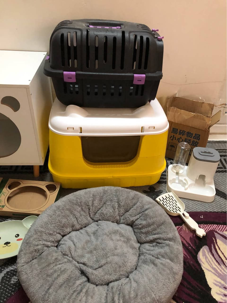 اشياء قطط جديدة ٦٠ الف قفل
بيت خشب اصلي متين
لتربوكس مقفول كبير
منام فرو
جهاز وعاء اكل ومي
٢ ماعون
المكان اربيل روشنبيري
توصيل داخل اربيل ٥ الف أربيل, العراق


**إذا كنت صاحب هذا الإعلان وتريد حذفه لأي سبب، رجاءا أرسل رسالة إلى الدعم الفني**