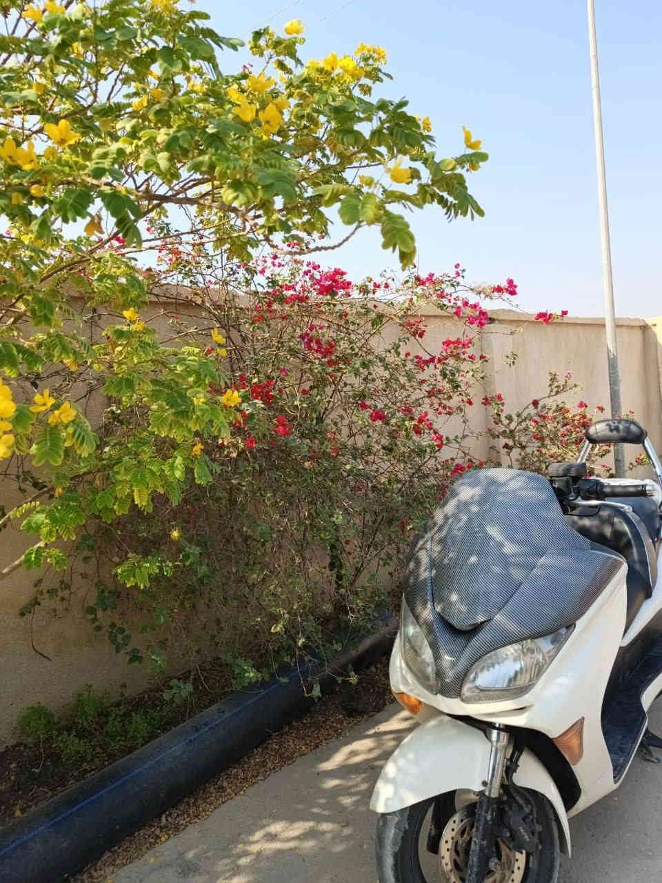 دراجة فورزة 0_9 كفاله عامة من طول لطول تدفئه بصمه كير عادي اوتماتيك متواجد فيس وما سنجر والهاتف *********** قضاء المدينة السعر خاص
