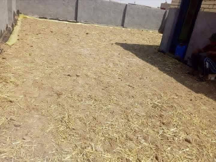 نشتقل سطوح وزفت للاستفسار الاتصال على الرقم بيه واتساب ***********
