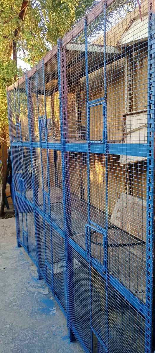 ‎قفص العرض 3متر و رتفاع 2 متر‎ بغداد, العراق


**إذا كنت صاحب هذا الإعلان وتريد حذفه لأي سبب، رجاءا أرسل رسالة إلى الدعم الفني**