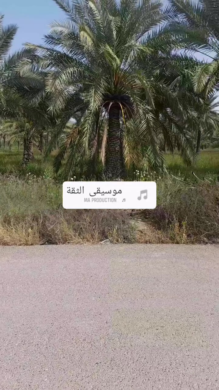 سلام عليكم ثلاثه دوانم واجه 45متر طابو ملك صرف البيع حسب طلب متوفر جميع الخدمات  العنوان بغداد المدائن شارع سيد علي الاستفسار ***********
