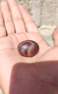 متفرقات • للبيع