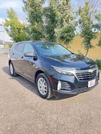 ايكينوكس • ٢٠٢٣ • صبغ عام