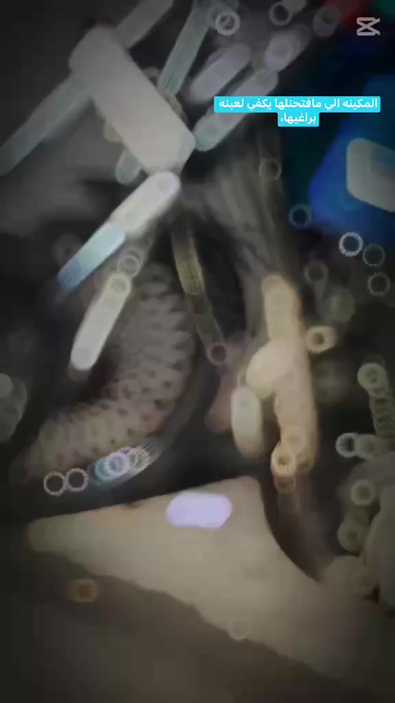 السلام  عليكم  عندي تايك18 ابل بصمه مراوس 
+


**إذا كنت صاحب هذا الإعلان وتريد حذفه لأي سبب، رجاءا أرسل رسالة إلى الدعم الفني**