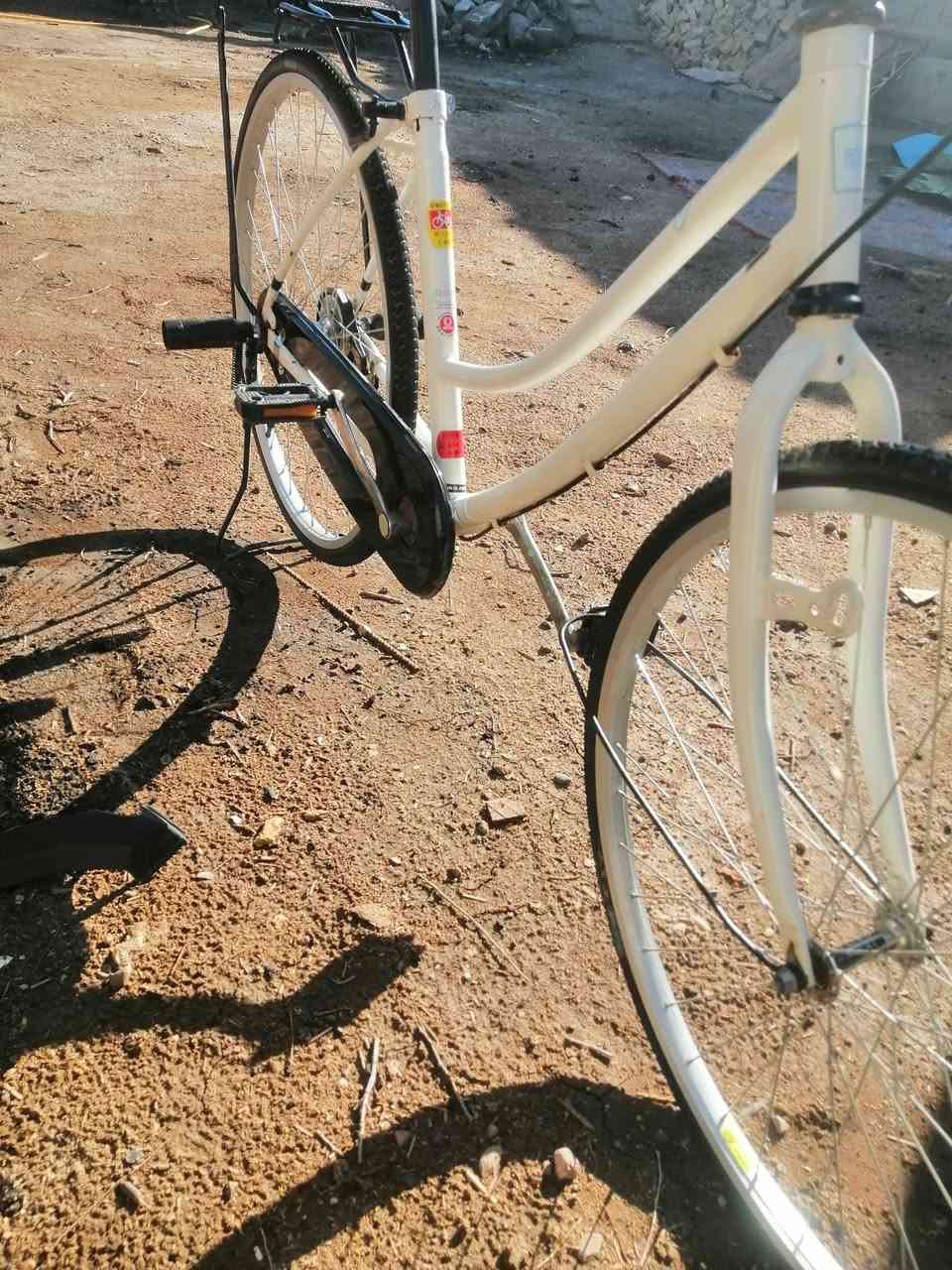 عمب سلام عليكم عمي باسكل البيع وعلي باسكل ماعوزه برقي كله كامل من طول الطول وشرط كشماه عوزه تعمير 2025 ويله نظاف كلش حجم 26 والباسكل مامقسول راده سعر 80وبيه مجال وشراي يجي خاص 🫡❤️


**إذا كنت صاحب هذا الإعلان وتريد حذفه لأي سبب، رجاءا أرسل رسالة إلى الدعم الفني**