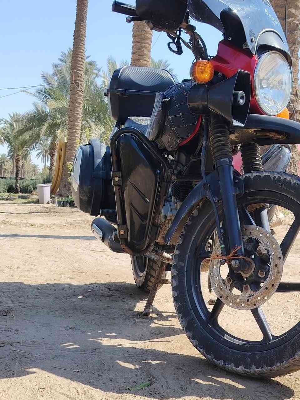 سلام عليكم بوكسر جبلي 2023للبيع
***********
