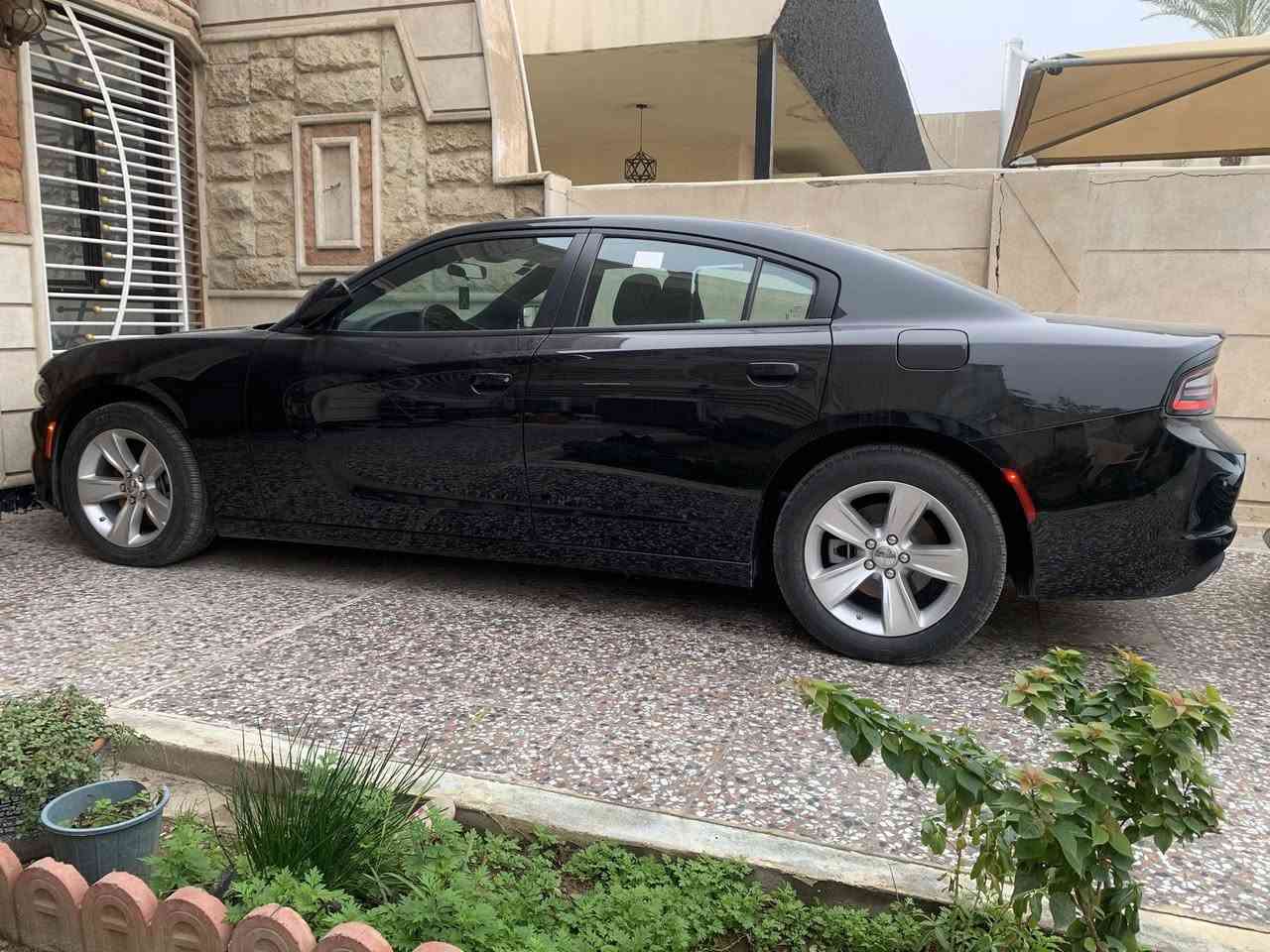 السلام عليكم ورحمة الله وبركاته
للبيع دودج جارجر 2023 خليجي مكفولة جديدة ماشية 39 الف كيلومتر مواصفات SXT .
لايتات زنون بلادي مع لدات امامي وخلفي ويل كب حجم 18 حساسات خلفية شاشة وكامرة خلفية تحكم ستيرن جميع الجهات كشن كهرباء محرك ستة سلندر 3600 سي سي مغلفة PPF بالكامل .
السعر 295 ورقة.
رقمي *********** بغداد اليرموك
