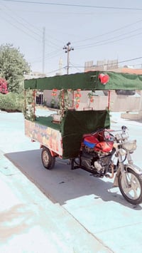 ستوتة • للبيع • كركوك