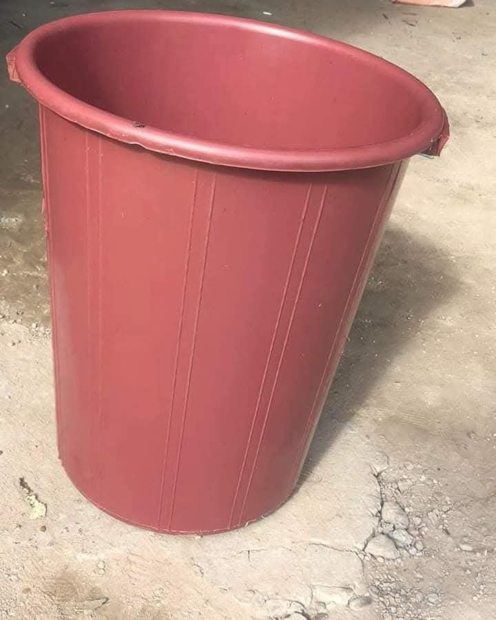 سنادين لزراعه فسائل النخيل والاشجار 
كل القياسات ونوعية ممتازة ومجربه 
للحجز كميات جملة فقط واسعار مناسبة جدا متوفر توصيل لكل المحافظات 
للاستفسار الاتصال على الرقم *********** /*********** او واتساب
