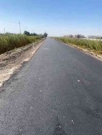 سبع البور البصام • 4 دوانم • سند 25