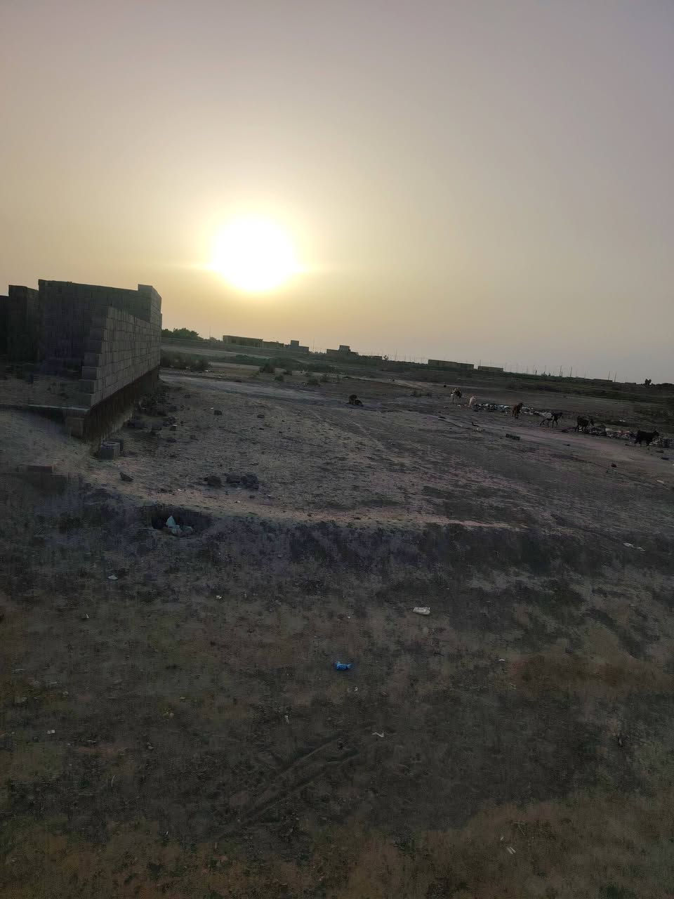 سلام عليكم عرصه مساحه 200 للبيع
مكان المحيصيره باقي التفاصيل اتصل وبيك خير وتدلل
***********
***********
