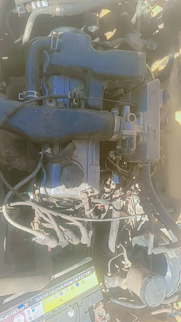 سايبه ٢٠١١ نضيفه كير ومحرك مكفولات برانكيتات نضيفه دواخل نضيفه ومرتبه متصرف عليها دينار بوجهك للشغل رقم بغداد الماني بدون راعي ابيع كوم حديد بيها سنويه عظم عندي مستمسكات راعيها بس ما اندله
مكاني كربلاء قنطرة. السلامشارع المدرسي السعر ١٢ وبيها مجال كلش قليل 
***********
