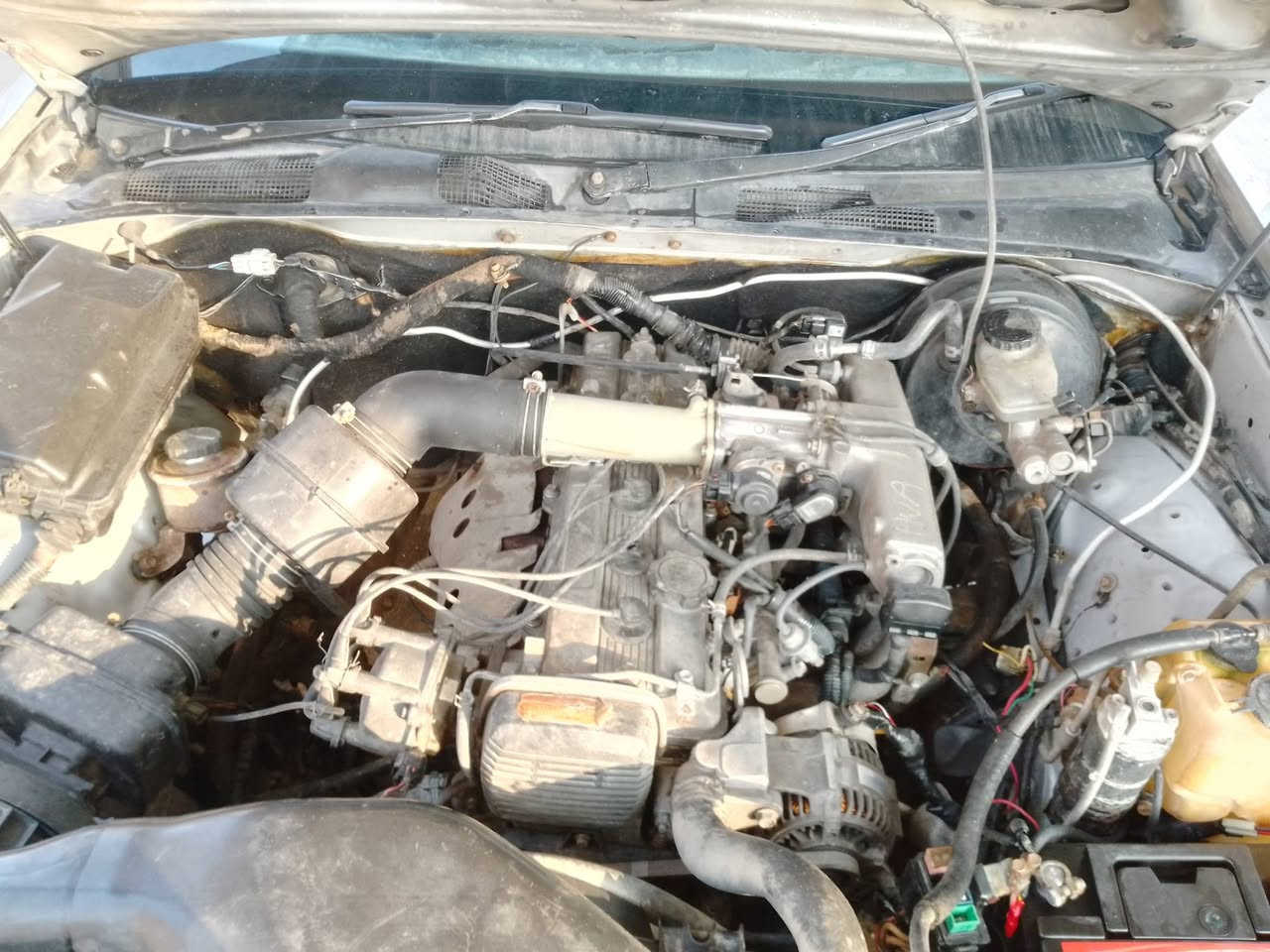 ارنب گصيف محرك ونجي 2000 موديل 1992  سنويه بسمي توني شاد لوحات جدد سعر ب75$ وبيه مجال قليل مكان السياره الناصريه شطره ***********
