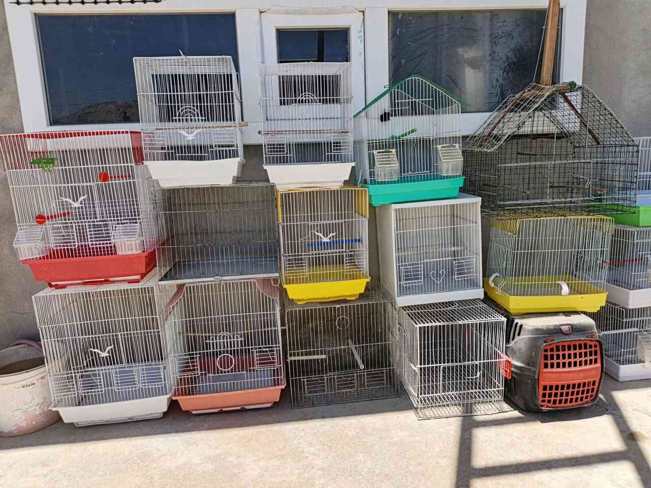 14 قەفەز تازە و بێ شکاوی زۆر کەم بەکار هاتوون سعری 50 هەزار
لە دەربەندیخان


**إذا كنت صاحب هذا الإعلان وتريد حذفه لأي سبب، رجاءا أرسل رسالة إلى الدعم الفني**