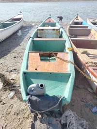 جينكوه للبيع سعر و التفاصيل خاص وات ساب 07738171584