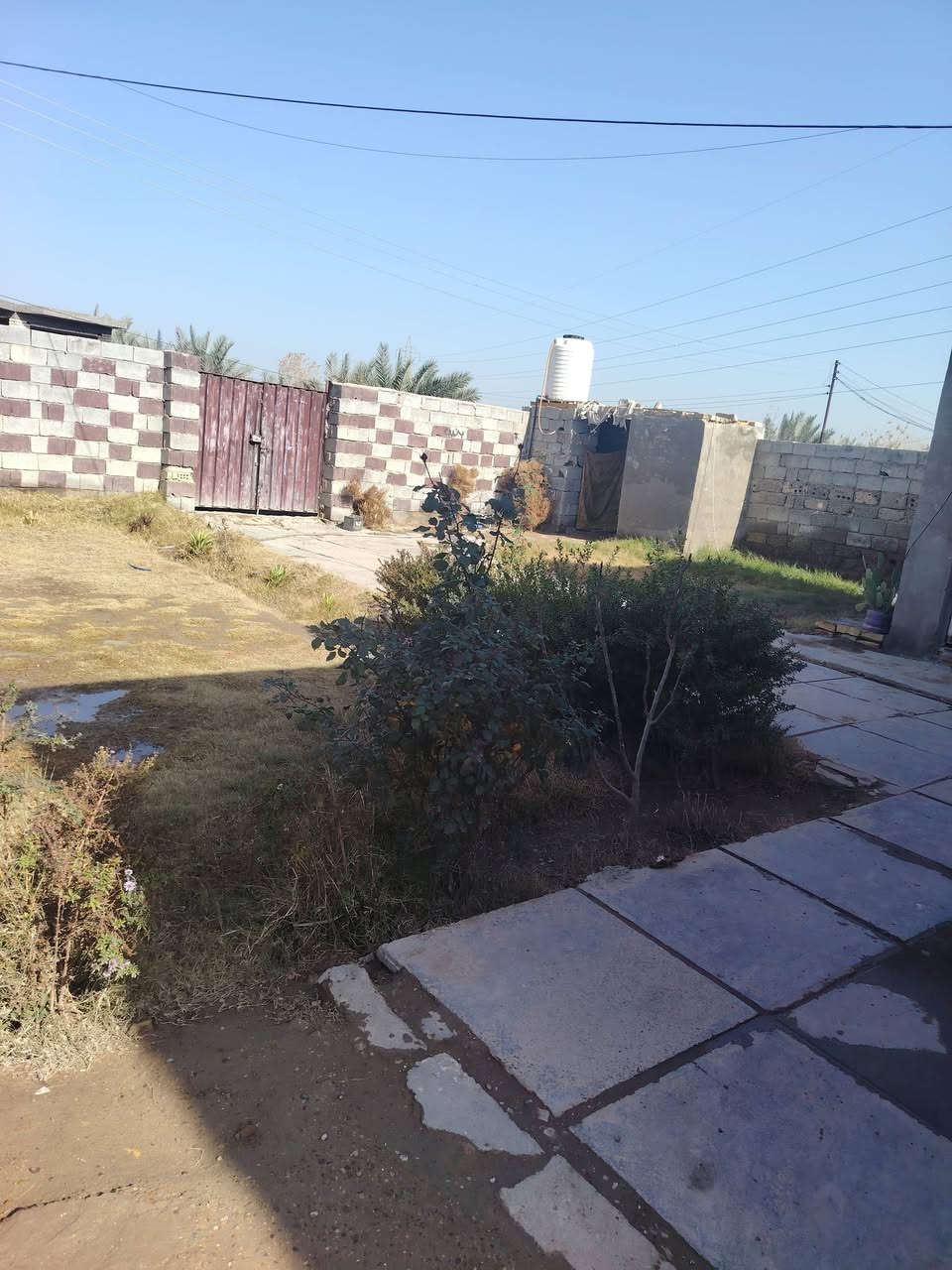 السلام عليكم
 للبيع بيت 3 عرف صاله استقبال مطبخ حمام  مساحه نص دونم عقد 25 العنوان مشروع المسيب قرب مدرسة سيد خليف مسافه 700 عن شارع حله بغداد ***********   ***********
