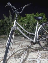 بايسگل • مقاس ٢٧ • شغال