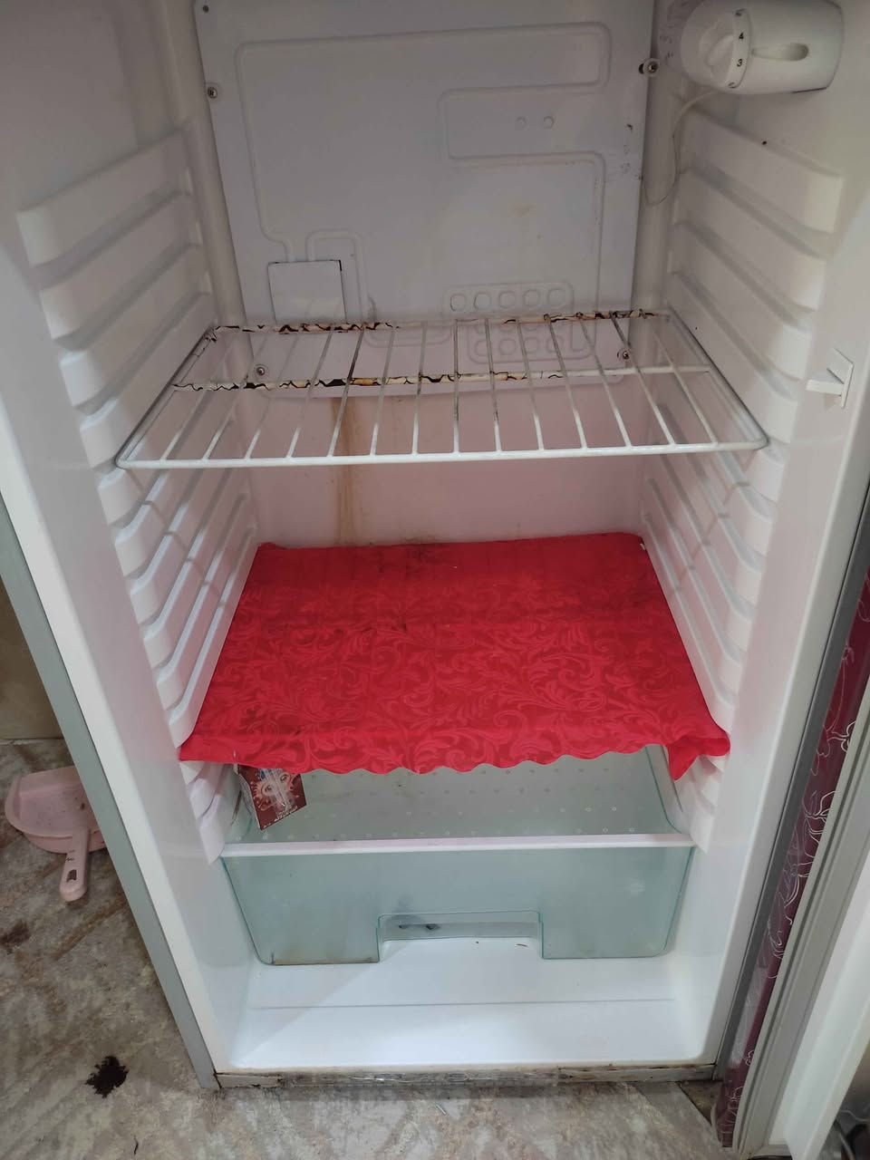 ثلاجه نظيفه نوع ناشونال حجم وسط شرط التبريد والتجميد السعر 125 وبيها مجال العنوان المطيحه السنيديه البصرة, العراق


**إذا كنت صاحب هذا الإعلان وتريد حذفه لأي سبب، رجاءا أرسل رسالة إلى الدعم الفني**