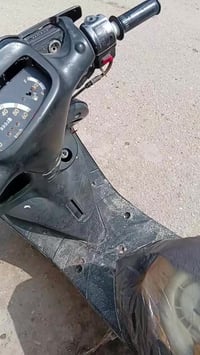 دراجه منغولي فحل لبيع 07874405448  واتساب