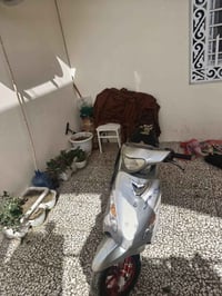 ماكس منغولي • مكفولة • نجف كوفه