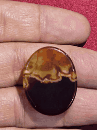 بسم الله الرحمن الرحيم وَإِنَّكَ لَعَلَىٰ خُلُقٍ عَظِيمٍ اللهم صل على ...