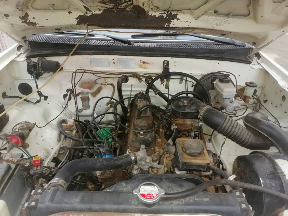 *********** السليمانية, العراق
