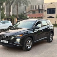 توسان ٢٠٢٣ • خمس قطع صبغ • بصمه