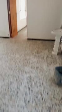 يوجد دار لبيع مساحه 150.م جسر ديالى قرب جامع البيض 07711587225 الستفسا...