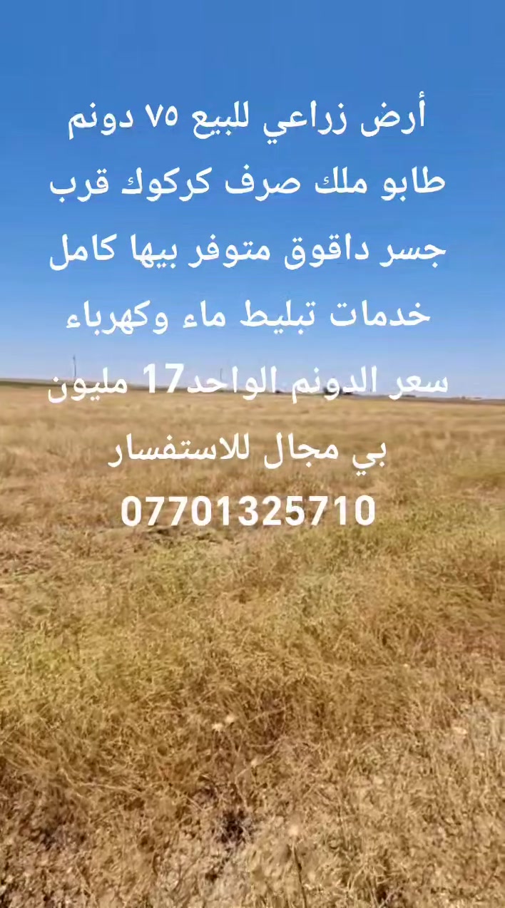 75 دونم للبيع طابو ملك صرف كركوك قضاء داقوق للاستفسار
***********
