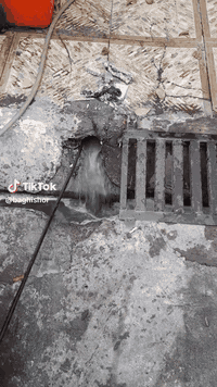 فتح مجاري في كركوك شد خلاطات وكاكات تئسيس بواري تئسيس المجاري تصليح المجاري    فتح كافة المجاري اي انسداد بالمجارياتصل ***********اني اجيك للبيت شرط يفتح اذا مايفتح ماخذ منك ولا دينار تصليح المجاري تبديل البواري التالفه عمل منهولات تبديل كاشي الحمام هاذ رقمي وبخدمتكم اي وقت مفتوح  وه ستاى بورى و كردنه وه ى مجارى و نه هيشتنى بونى ناخوشى مجارى و چاره سه رى هه موو كيشه يهكى مجارى و مه نهوطل  اماده ين بينه ماله كانتان له هه ر كويه كبن. تنكر سحب فتح مجاري في كركوك  منهولات تبديل كاشي الحمام هاذ رقمي وبخدمتكم اي وقت مفتوح  وه ستاى بورى و كردنه وه ى مجارى و نه هيشتنى بونى ناخوشى مجارى و چاره سه رى هه موو كيشه يهكى مجارى و مه نهول  اماده ين بينه ماله كانتان له هه ر كويه كبنفتح مجاري في كركوك شد خلاطات وكاكات تئسيس بواري تئسيس المجاري تصليح المجاري    فتح كافة المجاري اي انسداد بالمجارياتصل ***********اني اجيك للبيت شرط يفتح اذا مايفتح ماخذ منك ولا دينار تصليح المجاري تبديل البواري التالفه عمل منهولات تبديل كاشي الحمام هاذ رقمي وبخدمتكم اي وقت مفتوح  وه ستاى بورى و كردنه وه ى مجارى و نه هيشتنى بونى ناخوشى مجارى و چاره سه رى هه موو كيشه يهكى مجارى و مه نهوطل  اماده ين بينه ماله كانتان له هه ر كويه كبن. تنكر سحب فتح مجاري في كركوك  منهولات تبديل كاشي الحمام هاذ رقمي وبخدمتكم اي وقت مفتوح  وه ستاى بورى و كردنه وه ى مجارى و نه هيشتنى بونى ناخوشى مجارى و چاره سه رى هه موو كيشه يهكى مجارى و مه نهول  اماده ين بينه ماله كانتان له هه ر كويه كبن
