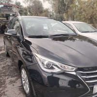 جنكان هيجي • ٢٠٢٥ • أربيل