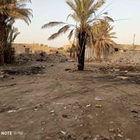 ديوانية الحي العسكري • ٢٥٠م • طابو زراعي سند٢٥