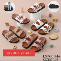 سليبرات • طبي • قياسات