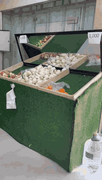 ⚡ ميوزة علوة للبيع ⚡

جديد النظافه 95% 

✔️ ميزين على 3 متر
✔️ ميزين على مترين
✔️ القواعد حديد
✔️ وياها تارتان ومرايات
💰 السعر: مليون دينار عراقي

حي الجهاد 
***********
