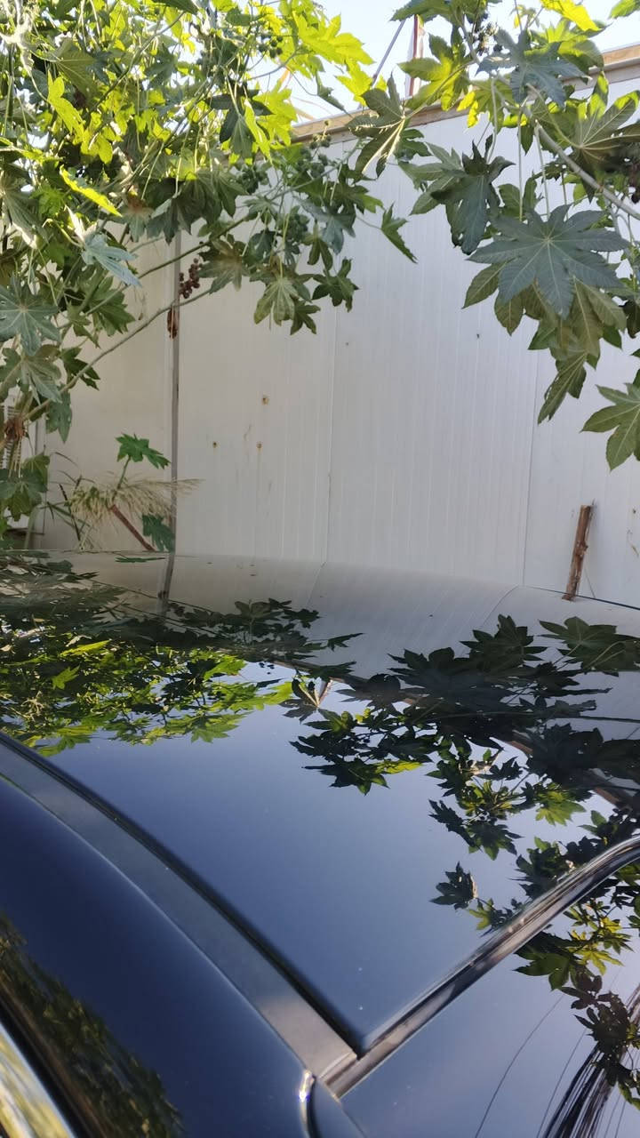 سلام عليكم اوبتيما 2017 محدث 2020 وارد امريكي محرك 2400 جي دي اي حادثها قطعتين من امريكا البابين مال سايق وبل عراق دعاميه خلفيه صور الحادث منشورات مواصفات fe المكان بغداد الراشديه سعرها 125 رقم التواصل***********
