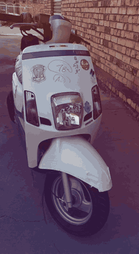 للبيع ماكس بوليس دراجه نضافه 100% نوزل دراجه كفاله عامه من كلشي مكينه كلجات كفرات ختم واحد وياه مكينه دراجه ياخذه مايصرف عليه ربع واحد كامله مكمله موديل 2011 فحل مو نثيه دراجه ناشفه لخير شلعه ومعدل دراجه مانقصه برغي واحد صاله 7ايام من طالعه من ربه مكان رفاعي سعر خاص او عله رقم *********** نكره سلف
